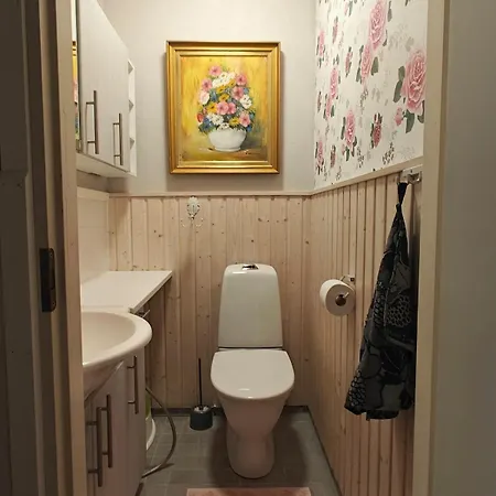 Petsukkarinne Апартаменты Леви