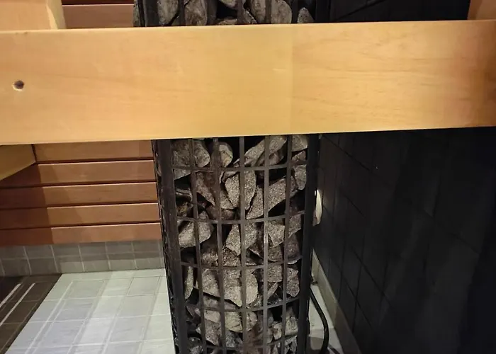 Petsukkarinne 公寓 列维