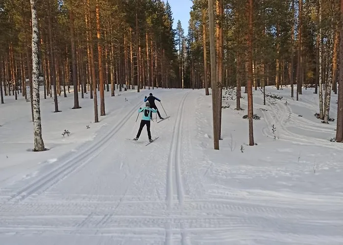 公寓 Petsukkarinne *